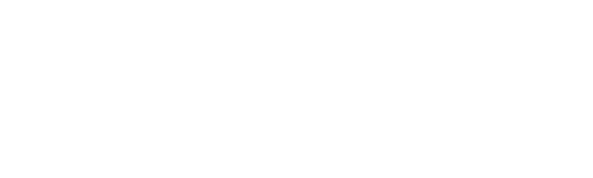 SARO®
